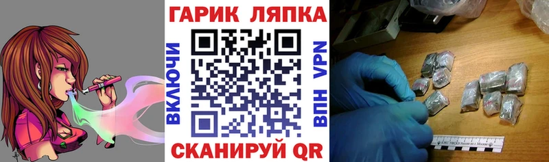ГАШ Изолятор  omg как войти  Спас-Клепики 