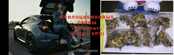 a pvp Саяногорск