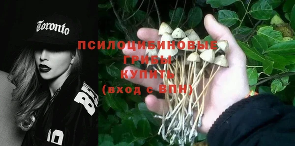 a pvp Саяногорск