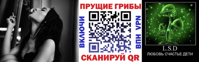 Псилоцибиновые грибы Psilocybe  Спас-Клепики 